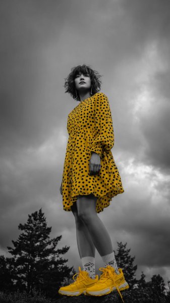 Желтое настроение на фоне облачного неба: минималистичная элегантность в черно-белом мире. Нейронная сеть Миджорни