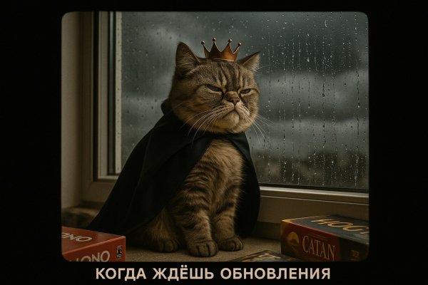 Ждущее обновление: кошачья нетерпеливость под дождем. Генерация из нейросети Sora Ai Images