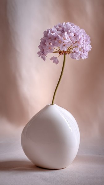 Нежная элегантность: цветок в пастельных тонах и абстрактные формы. Генерация из нейросети Миджорни