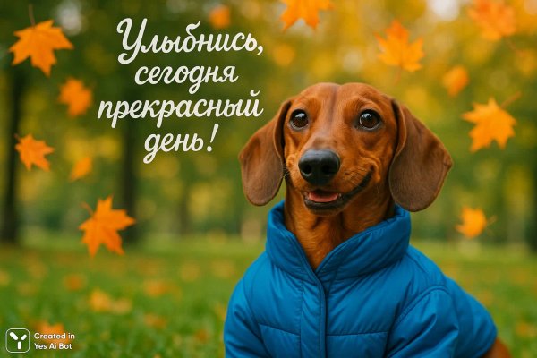 Рыжая такса в синем кобинезоне наслаждается осенью. Изображение из нейронной сети Sora Ai Images