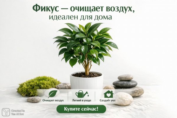 Фикус: Здоровый дом и свежий воздух с эко-дизайном. Нейросеть Sora Image