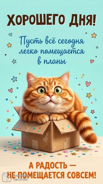 Умилительный кот в коробке с конфетти и пожеланиями хорошего дня!. Картинка из нейронной сети Nano Banana